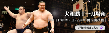 renew-sumo-top-main-202011-pc.jpg